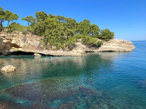 Rocky pine island in the blue sea at summer. Beautiful nature of Mediterranean coast in Montenegro.