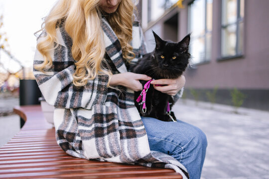 Woman preparing her black cat to walk in park 