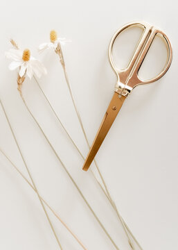 Floral Cuttings