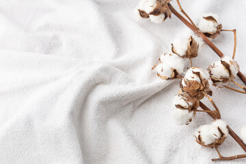 Branches of cotton on a white bath terry towel