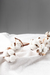Branches of cotton on a white bath terry towel