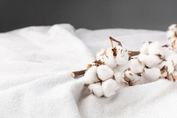 Branches of cotton on a white bath terry towel - obrazy, fototapety, plakaty