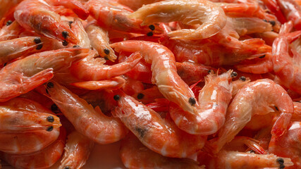 Shrimps background texture. A lot of shrimps.