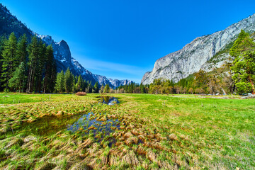 Yosemite Valley views from lush fields of mountains