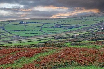 Barely visible broken down stone fences in the foreground, are almost reclaimed by the countryside in the pastoral scene of hedgerow surrounded fields in Ireland.