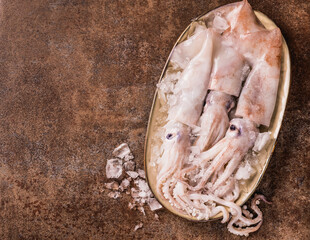Fresh squids octopus or cuttlefish. Raw squids on plate with ice copy space background, seafood raw...