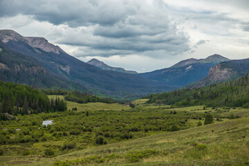 Fototapeta na wymiar Summer mountain valley with willows and overcast skies