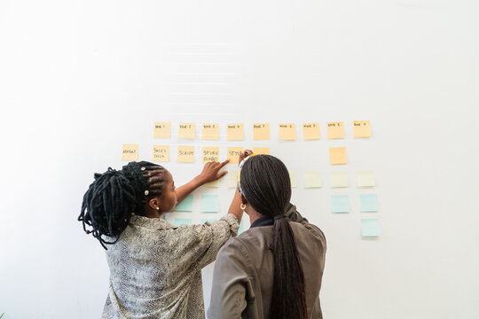 Business women planning project