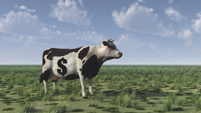 Cow with dollar sign stands on green field