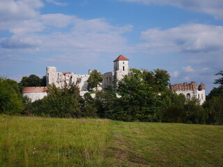 Fototapeta na wymiar Ruiny zamku Tenczyn w Rudnie