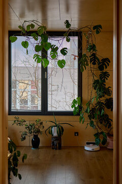 Modern room