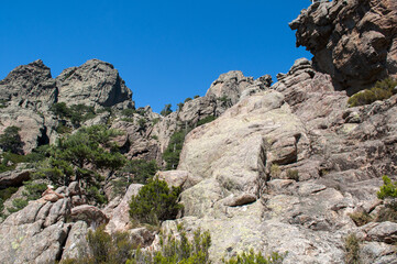 Fototapeta na wymiar Rocks and mountains in Bavella Park on the island of Corsica