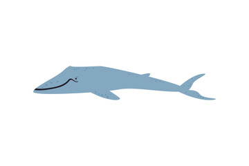 flat blue whale