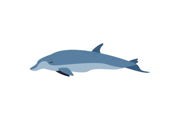 flat humpback whale