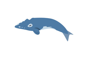 flat colorful whale