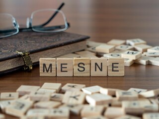 mesne word or concept represented by wooden letter tiles on a wooden table with glasses and a book