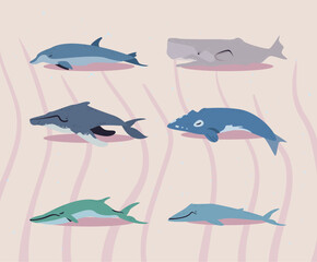 flat colored whales