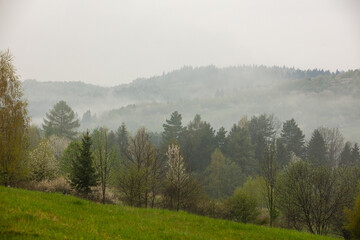 Poranny krajobraz gór Beskidu Żywieckiego © Mariusz