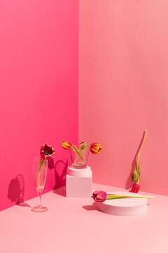 Still life of Spring tulip flowers on pink background and shapes
