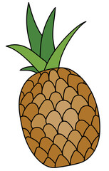 Doodle cartoon whole pineapple fruit. For menu, farmers market design, cocktail making process illustration, cookbook decoration etc.