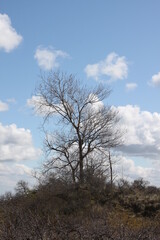 Paysage de dunes à Nieuwport