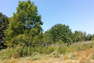 Fototapeta premium Summer landscape of Belasitsa Mountain, Bulgaria