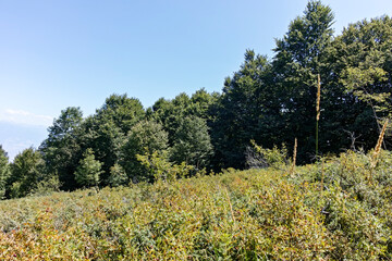 Summer landscape of Belasitsa Mountain, Bulgaria