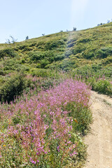 Summer landscape of Belasitsa Mountain, Bulgaria