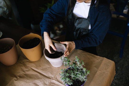 Gardener filling up vessels with soil and drainage for plant 