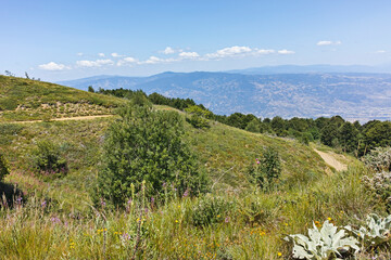 Summer landscape of Belasitsa Mountain, Bulgaria