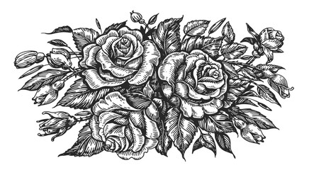 Roses with leaves and buds sketch. Hand drawn flowers in vintage engraving style. Floral concept. Vector illustration
