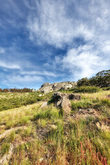 Fototapeta na wymiar Copy space with a scenic hiking trail through lush grassland along Table Mountain, South Africa with a cloudy blue sky background. Rugged, remote and quiet landscape to explore in the wilderness