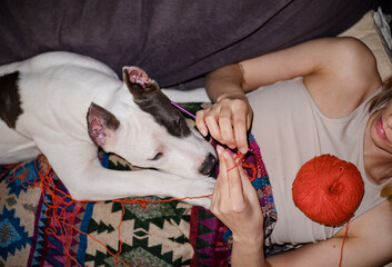 Cute Homemade Leisure Hobby Lifestyle