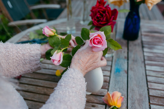Senior woman doing flower arrangements in her garden 