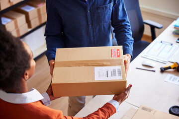 Woman receiving parcel from man in logistics company