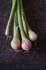 green onions on the black background