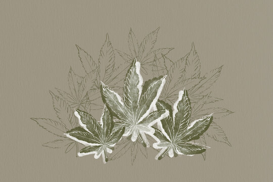 Marijuana leafs