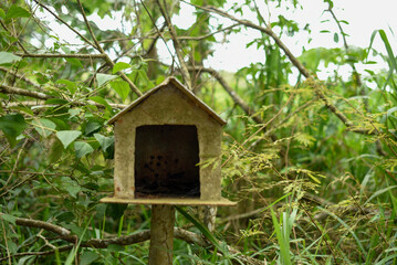 bird house in the forest