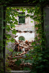 fragments of broken bricks on a wall with green plant.
