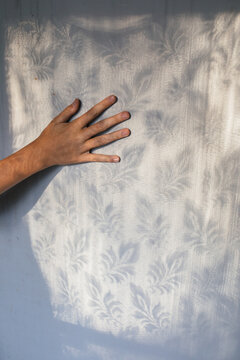 Summer shadows