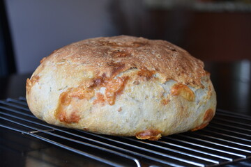 Homemade Rosemary Parmesan Bread Loaf on Cooling Rack