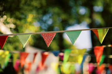 flags on the open party
