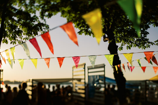 flags on the open party