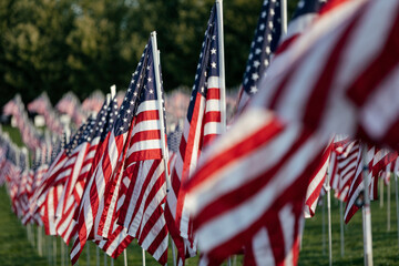 Memorial Display Of USA Flags Blowing In The Wind