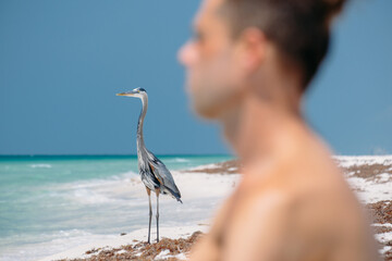 Summer Vacation on Beach