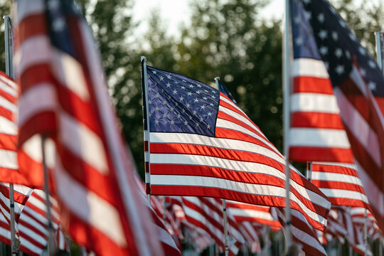 Display Of Thousands Of United States Flags