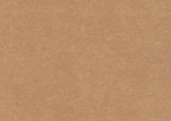 High Quality Cardboard Paper Texture. Background for Hand Made, Scrapbooking, Greeting Card or Invitation