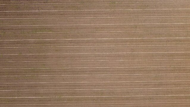 Top view footage of an empty agricultural field with a drone.
