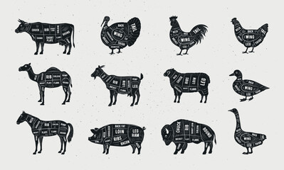 Butcher Meat cuts set. Butcher's posters design. Beef, Mutton, Lamb, Pork, Horse, Goat, Chicken, Turkey meat cuts. Cuts of meat for butchery, meat shop, restaurant, grocery store. Vector illustration