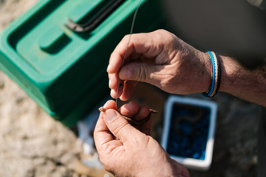 Crop mature fisher preparing bait for fishing
